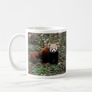 Mug Panda rouge