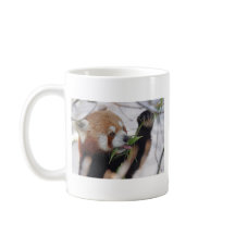 panda rouge poster de animal mignon