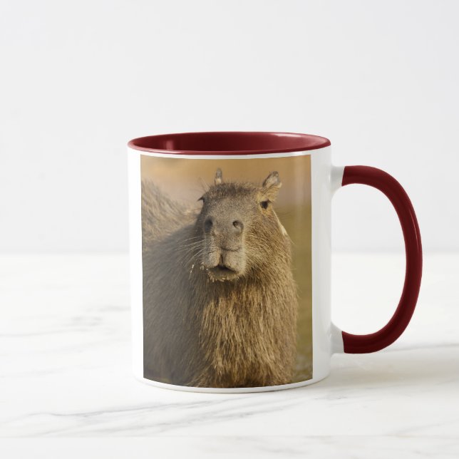 Mug Pantanal, Brésil, Capybara, Hydrochoerus (Droite)