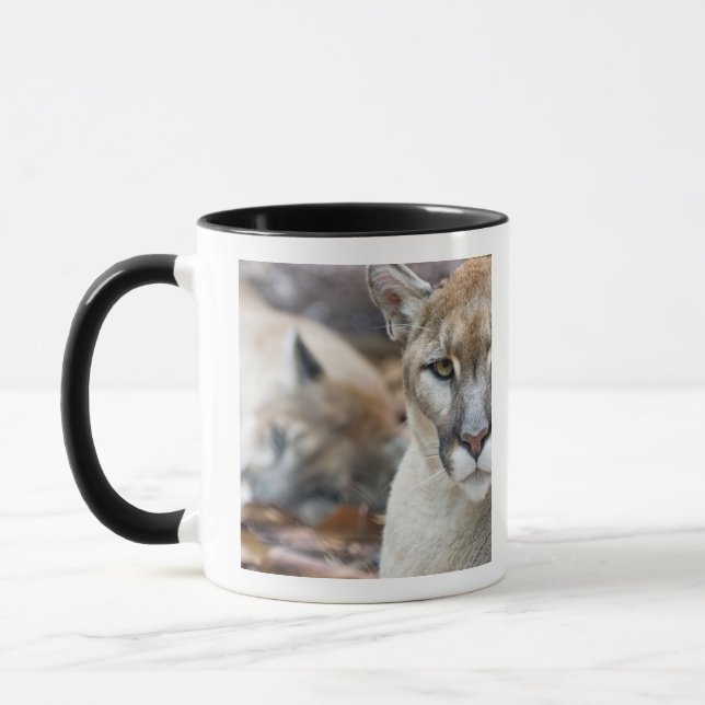 Mug Panthère de Floride (Gauche)
