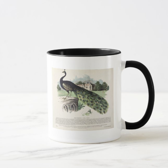 Mug Paon (Droite)