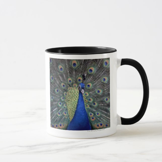 Mug Paon (Droite)