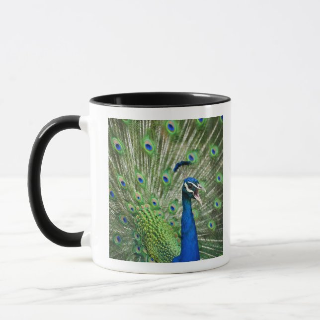 Mug Paon criard (Gauche)