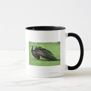 Mug Paon dans le domaine