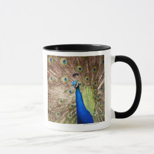 Mug Paon montrant le plumage