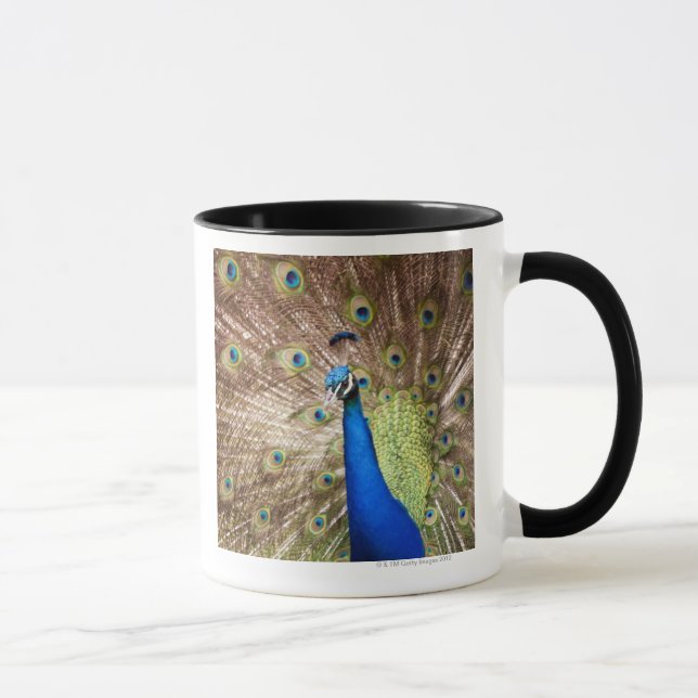 Mug Paon montrant le plumage (Droite)