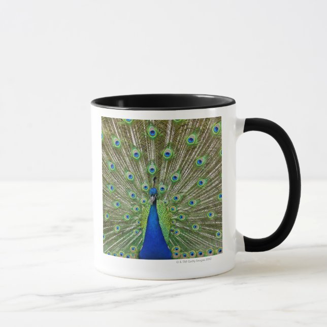 Mug Paon montrant ses plumes, en tant qu'élément d'a (Droite)