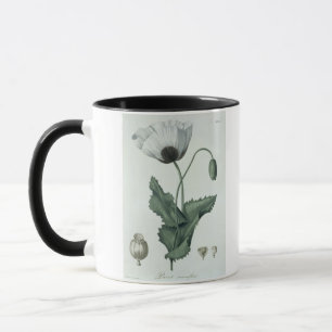 Mug Papaver somniferum de "Phytographie Medicale" par