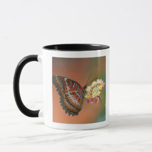 Mug papillon 2