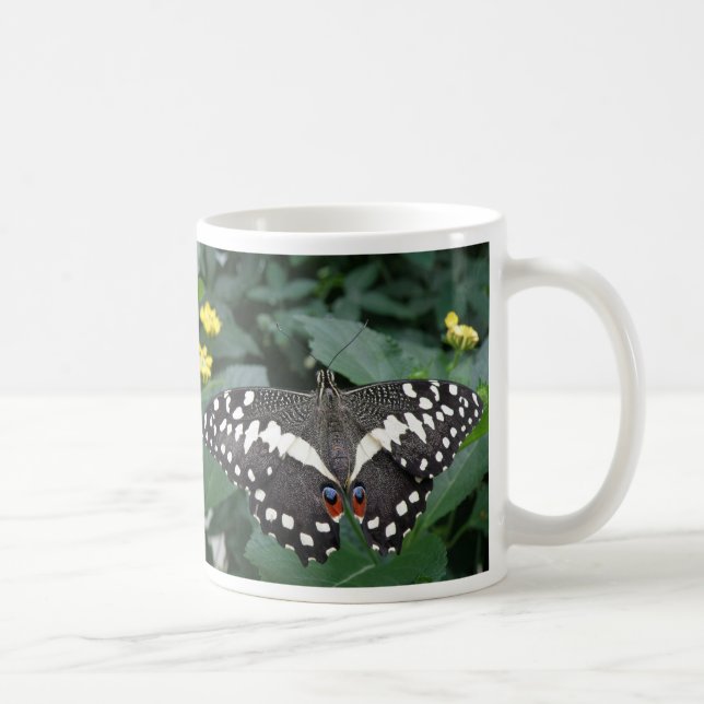 Mug Papillon de citron vert et fleurs Bouteille de caf (Droite)