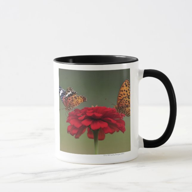 Mug Papillon de fritillaire (hyperbius d'Argyreus) sur (Droite)