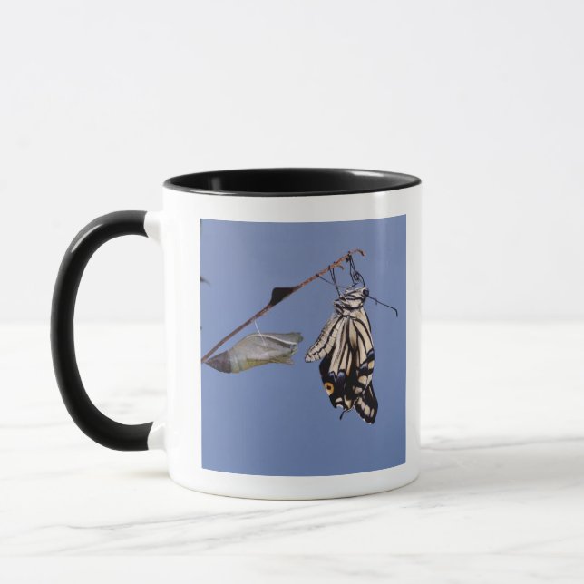 Mug Papillon de machaon après métamorphose (Gauche)