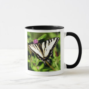 Mug Papillon de machaon de tigre. Papilio glacus.
