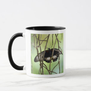 Mug Papillon de machaon d'écarlate (Papilio