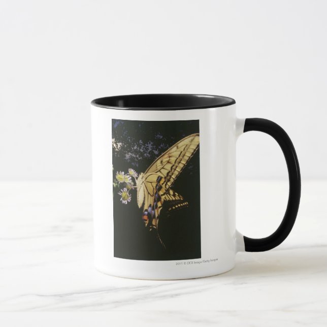 Mug Papillon de machaon sur la fleur, fin (Droite)