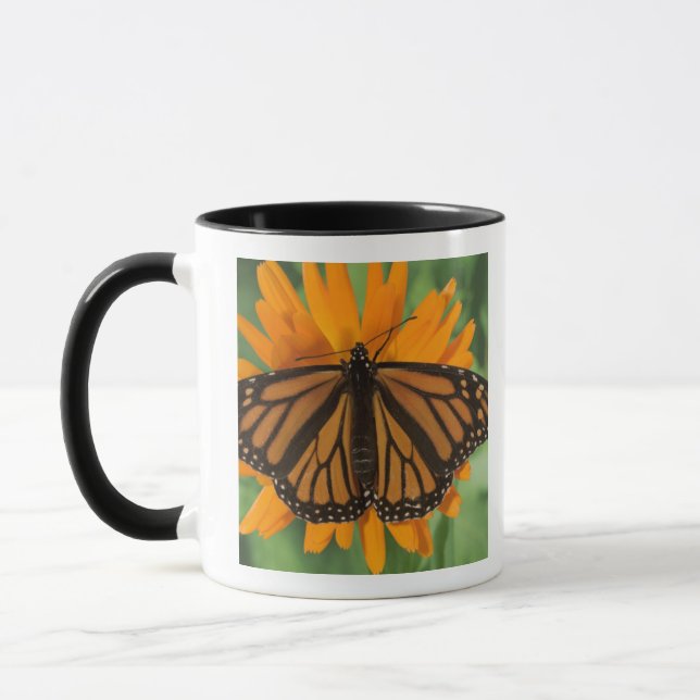 Mug Papillon de monarque (plexippus de Danaus) sur le (Gauche)