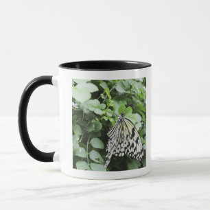 Mug Papillon de papier de cerf-volant (leuconoe
