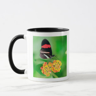 Mug Papillon de rosina de facteur rassemblant le