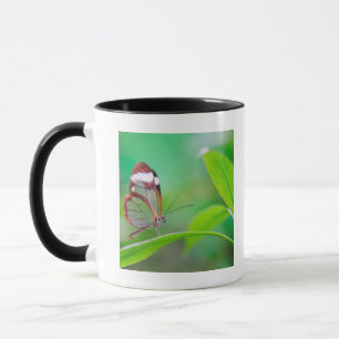 Mug Papillon en verre d'aile détendant sur le vert