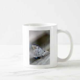 Mug Papillon Gris Bleu