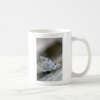 Mug Papillon Gris Bleu