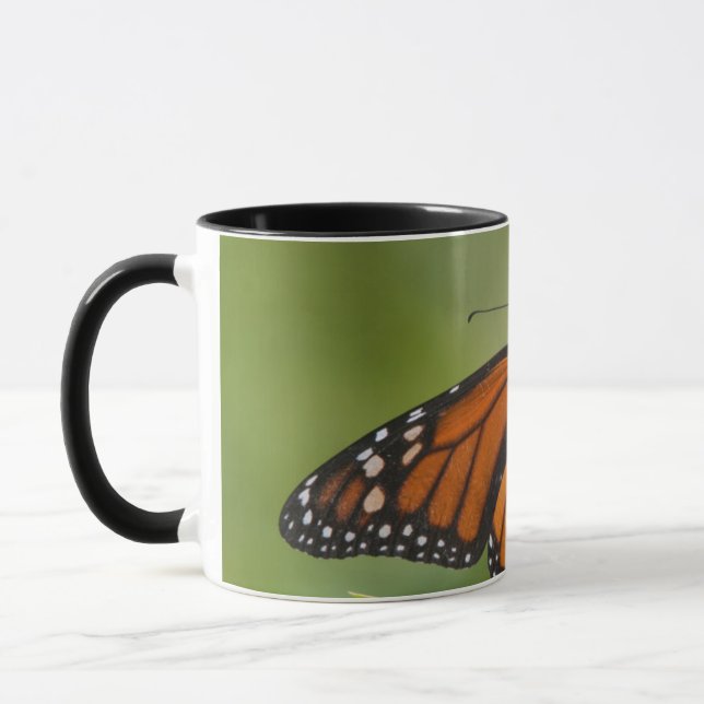 Mug Papillon monarque mâle sur Asclépiade incarnate (Gauche)