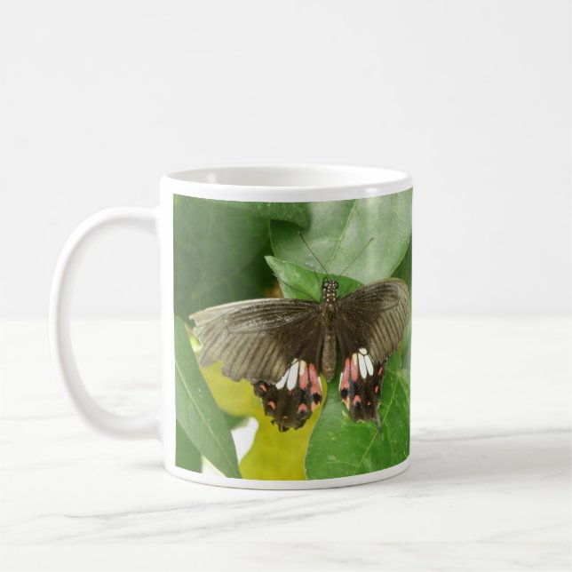 Mug Papillon Queue Rouge Écarlate (Gauche)
