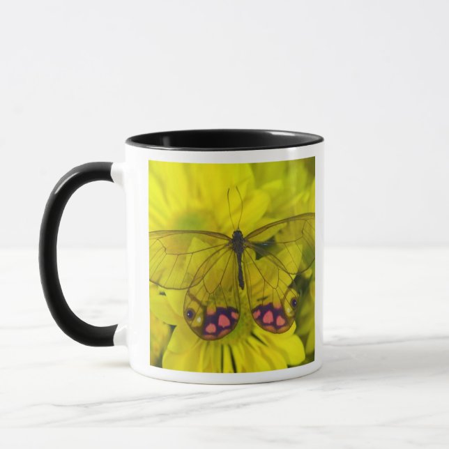 Mug Papillon sur jaune (Gauche)