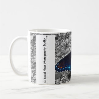Mug Papillon sur le béton