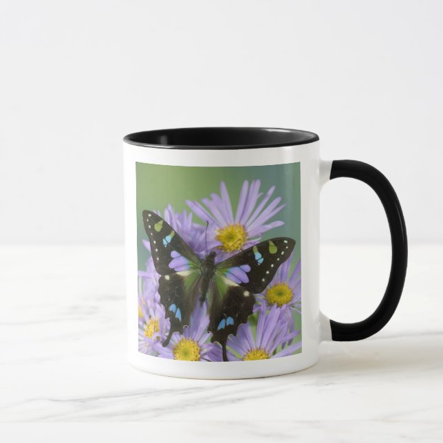Mug Papillon sur Violet (Droite)