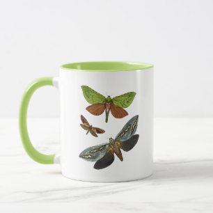 Mug Papillons 4