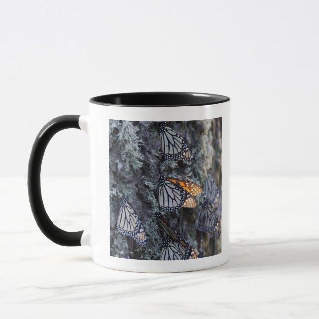 Mug Papillons de monarque sur le pin, sierra Chincua 2 (Gauche)