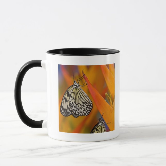 Mug Papillons de papier de cerf-volant (leuconoe (Gauche)