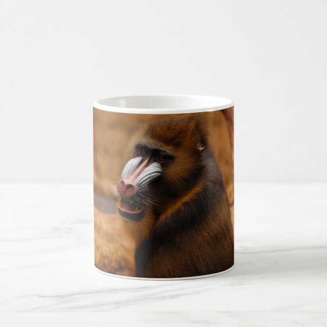 Mug Papion (Centre)