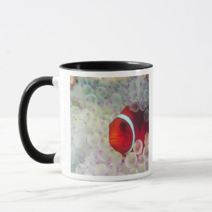 Mug Papouasie-Nouvelle-Guinée, Grande Barrière de cora