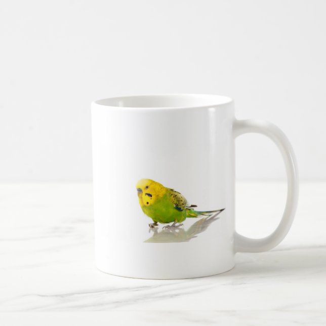 Mug parakeet, (Droite)