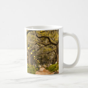 Mug Parc de Forsyth - photo, la savane, la Géorgie
