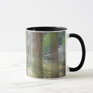 Mug Parc d'État de Scenic Beach