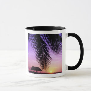 Mug Parc d'État John Pennekamp, Florida Keys, Key