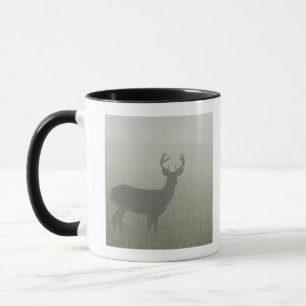 Mug Parc national de Great Smoky Mountains, Tennesse,