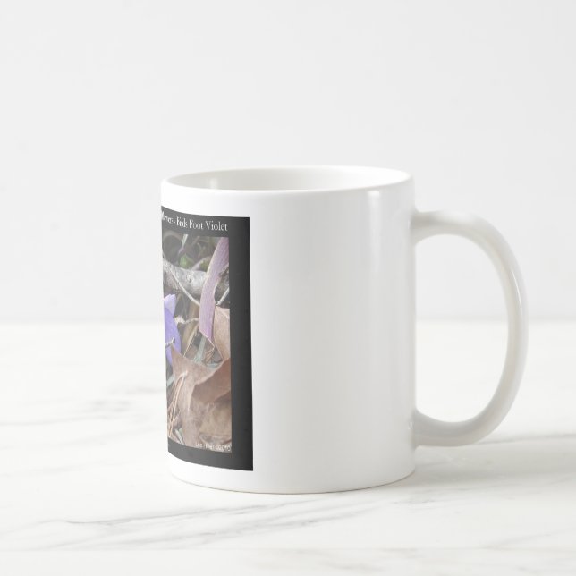 Mug Parc national de Hot Springs, AR Cadeaux Violettes (Droite)