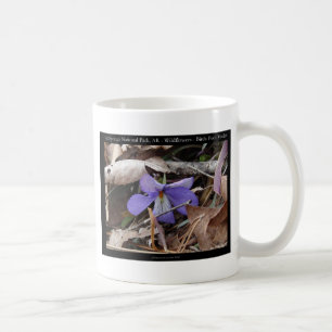 Mug Parc national de Hot Springs, AR Cadeaux Violettes