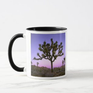 Mug PARC NATIONAL DE JOSHUA TREE, CALIFORNIE.États-Un
