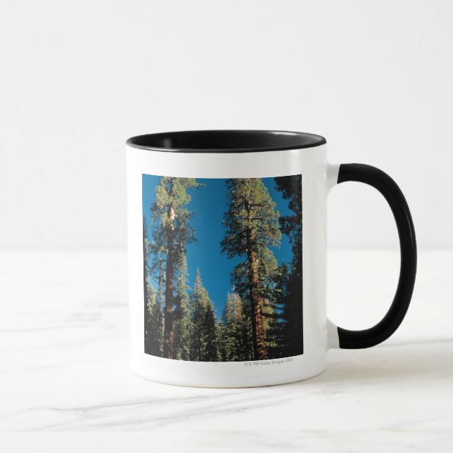 Mug Parc national de séquoia, la Californie (Droite)
