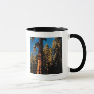 Mug Parc national de séquoia, la Californie 2