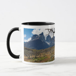 Mug Parc national de Torres del Paine, arbres endommag