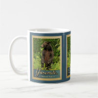 Parc national de Yosemite Ours Vintage