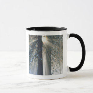 Mug Parc national de Yosemite - Rayons de soleil filtr