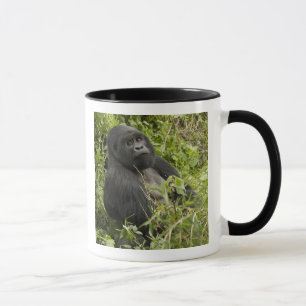 Mug Parc national des Volcans, Gorille des montagnes
