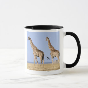 Mug Parc national d'Etosha, Namibie